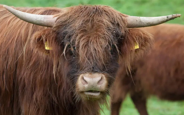 Reit-und Sporthotel Nordmann