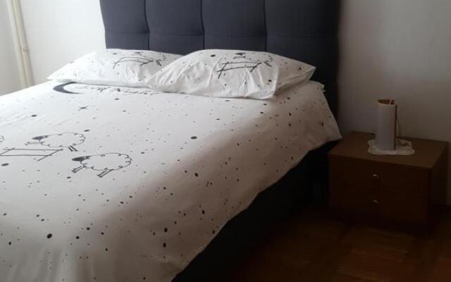 Apartments Davor