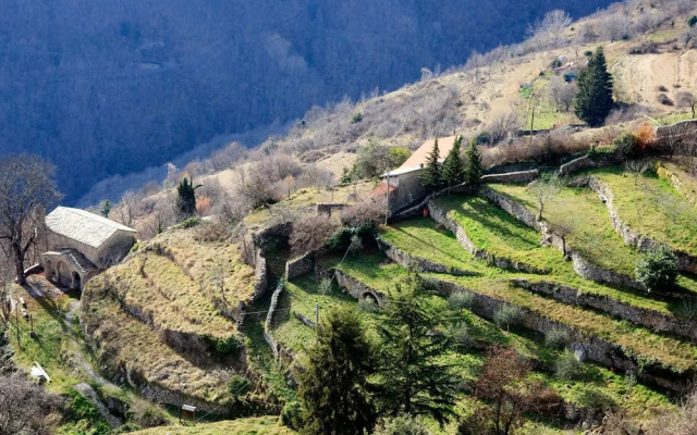 Rebi Studio 4 Pax With Garden