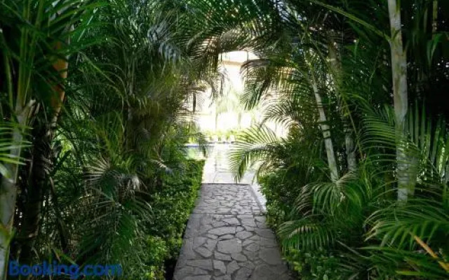 Sunrise 26 at Tamarindo