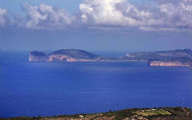 Alguer 46