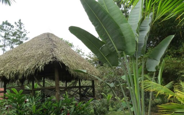Monkey Lodge Panama