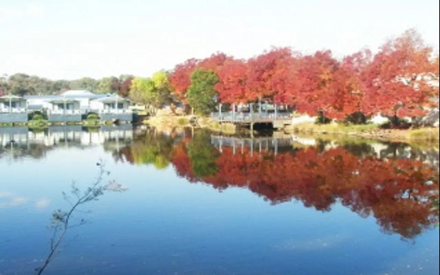 Capital Country Holiday Park