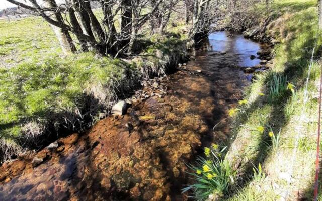 Appartement Saint-Genest-Malifaux, 2 pièces, 2 personnes - FR-1-496-228