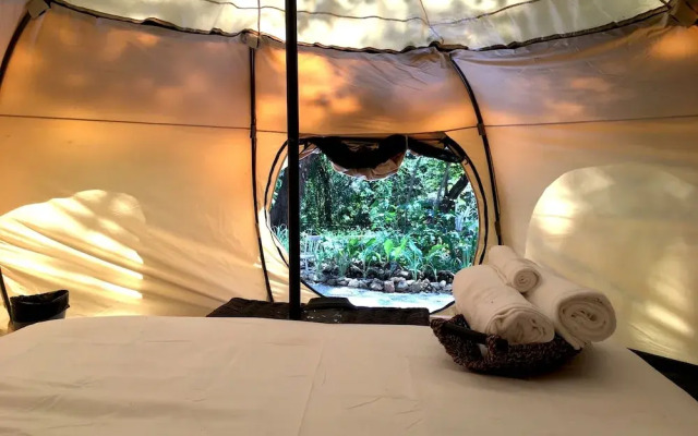 Driftwood Glamping and Boutique Hotel