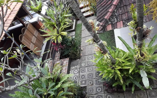 Nyoman House Ubud