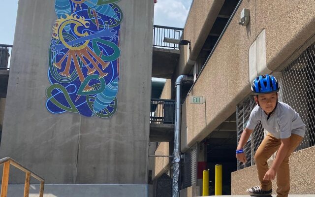 #303 Vail International