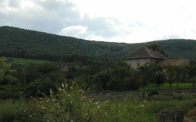 Gîte Du Bollenberg