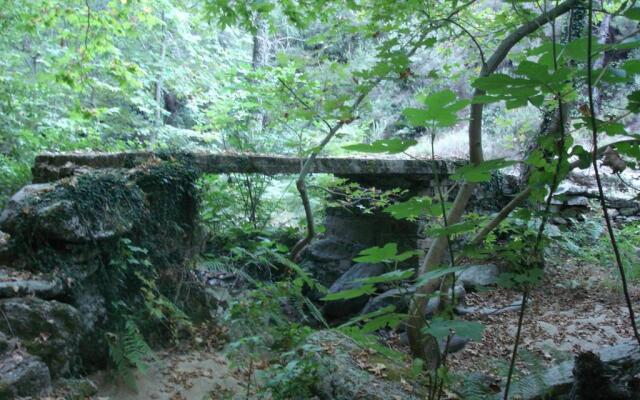 Studio with loft Raxes Ikaria #5