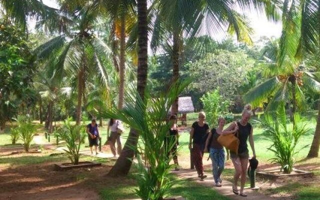 Elephant Paradise Safari Lodge