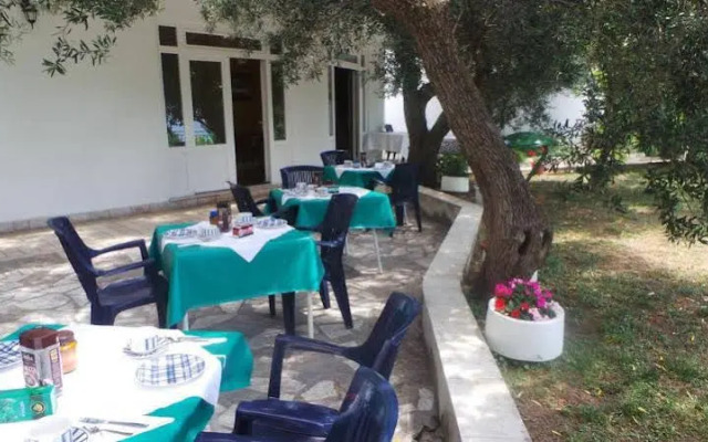 Pension Vice