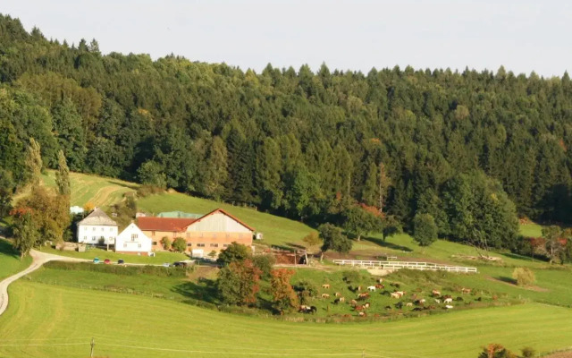 Pferdehof Koaser Minerl