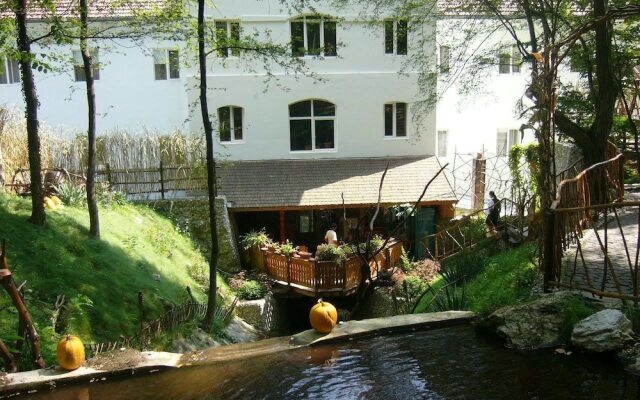 Hotel Ferdinand Baile Herculane