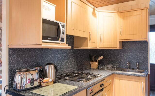 Conifer Lodge 25 With Hot Tub, Newton Stewart