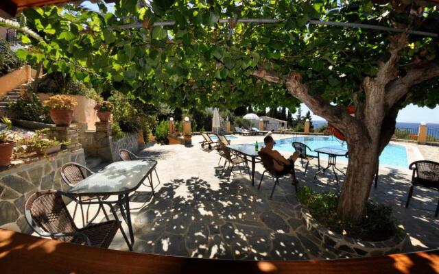 Dina's Paradise