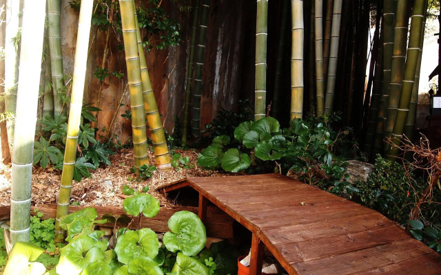 Secret Garden B