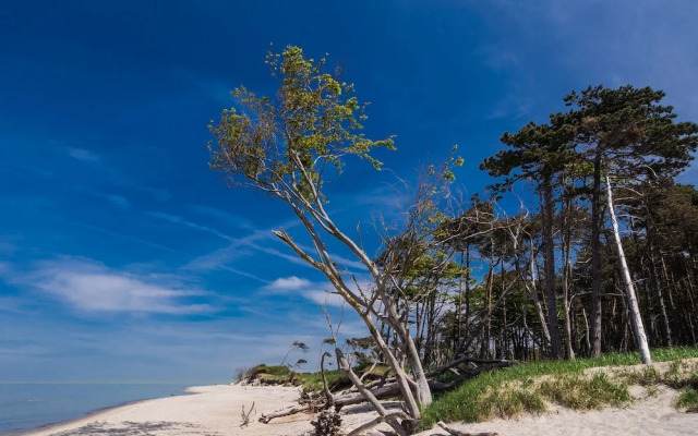 Schwedenglück Prerow