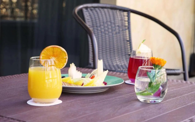 NH Mendoza Cordillera