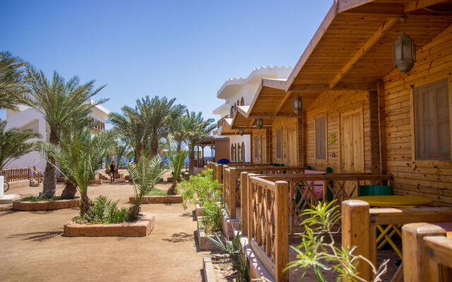 Shams Hotel & Dive Centre