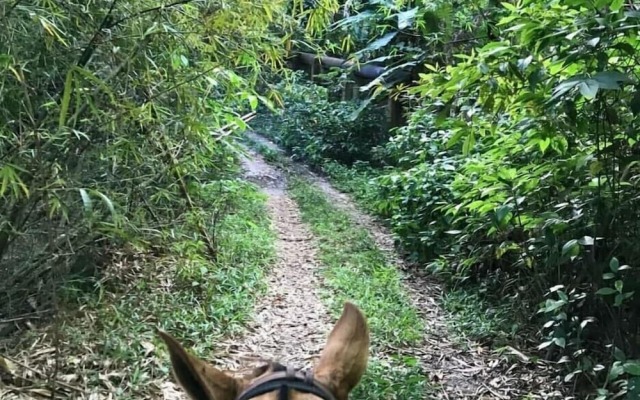 Fazenda Amaragi