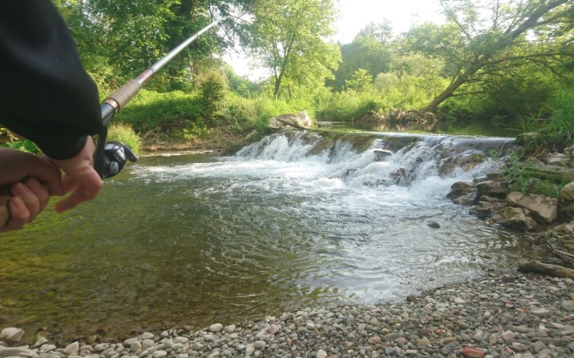 Bed and Breakfast Radgost