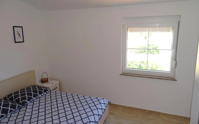 Apartmani David