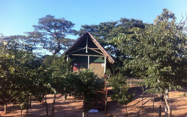 Lion Roars Lodge
