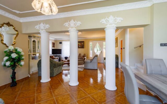 Villa Big Thuja Saint Cézaire sur Siagne