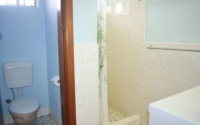 Travellers Palms no 8 South West Rocks