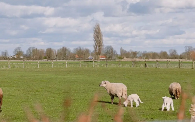Spacious Holiday Home With Indoor Pool Sauna