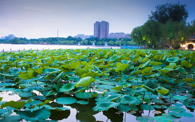 Crowne Plaza Jinan Runhua Hotel by IHG