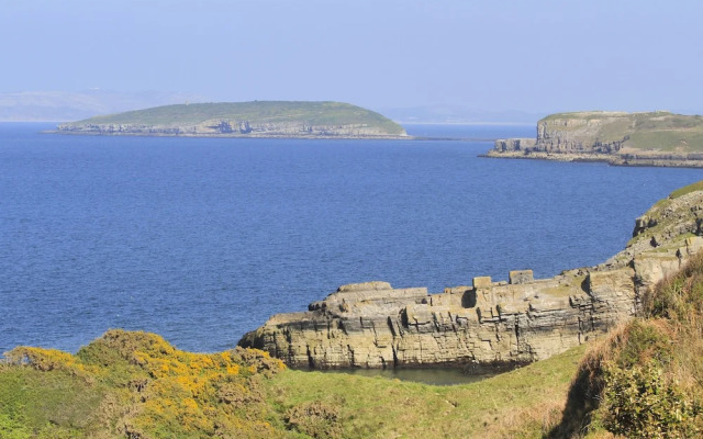 Plas Elyn