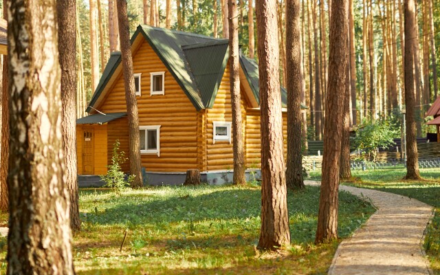 Zelenyj bor (Sverdl.obl)