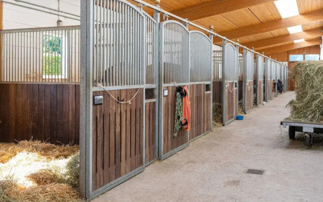 Pretty Holiday Home in Eschede Germany near Forest