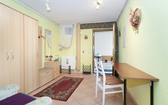 Modern Apartment in Bad Rippoldsau Near Town Center