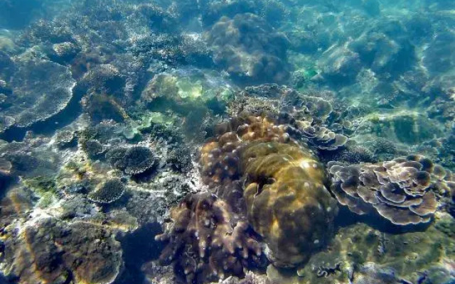 Wenchang Yunxia Loushang Homestay