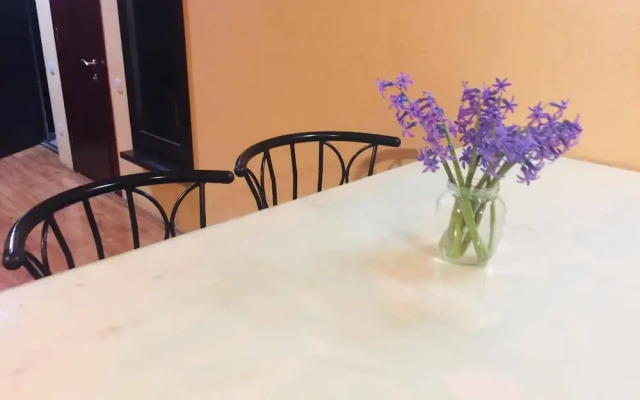 Suit apartment Erekle Tatishvili street