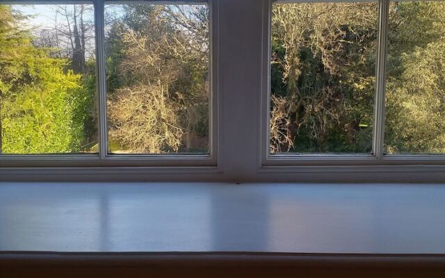 Jesmond Vegan B&B