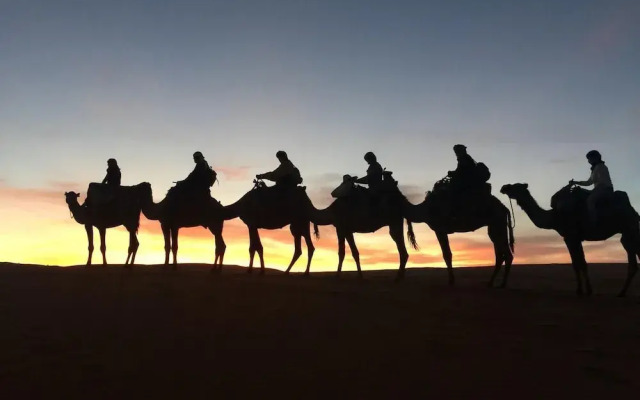 Desert Queen Camp