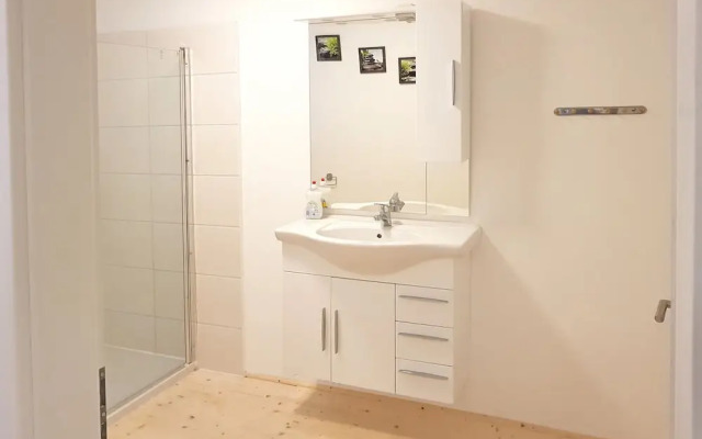 Adorable Aparment in Wildemann With Parking