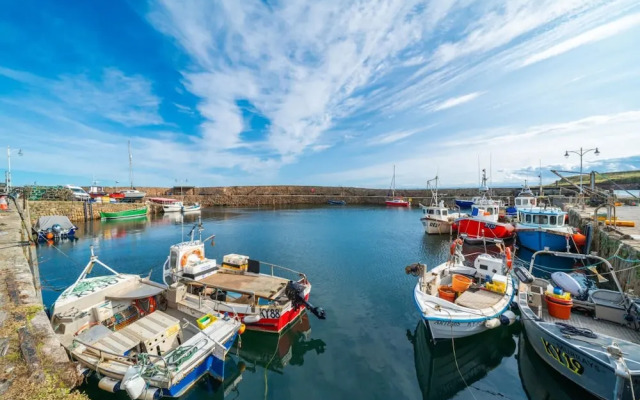 Westland Shores - An East Neuk Gem
