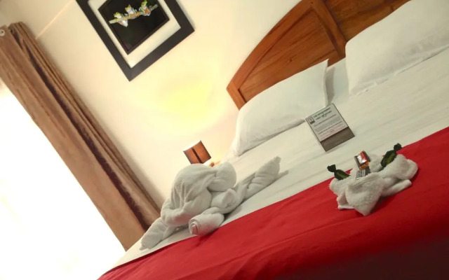 Boutique Hotel Calle 20