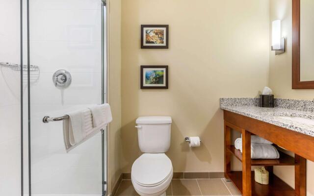 Comfort Inn & Suites Florence Center Area