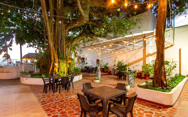 Hotel Playa Club