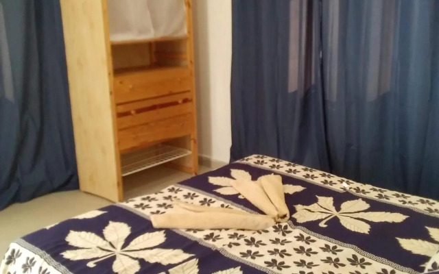 Real Owl Guest House