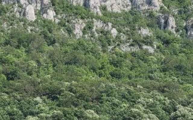 ANDI 2-apartament 2 camere