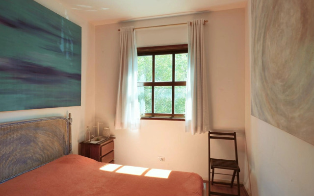 Maestro Ibirapuera Park