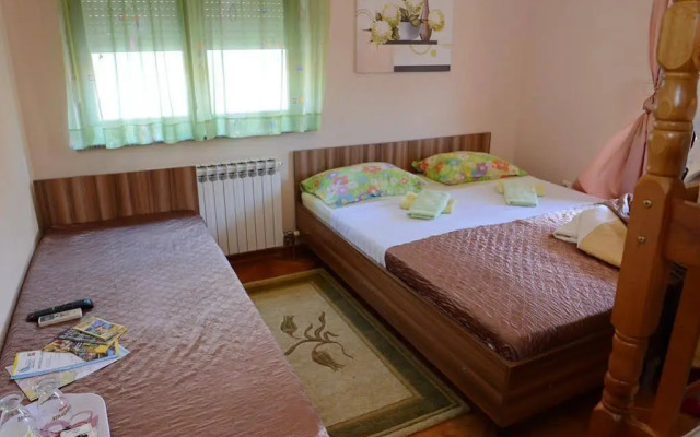 Hostel Dino