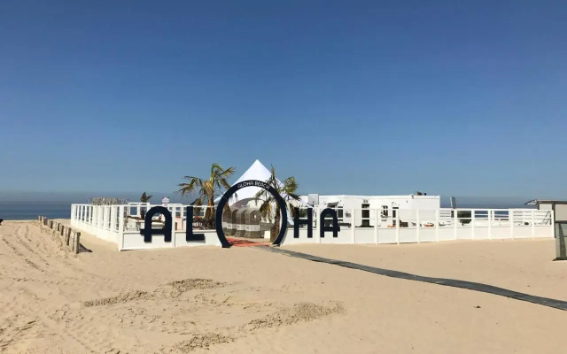 App Zouavenplein 0403