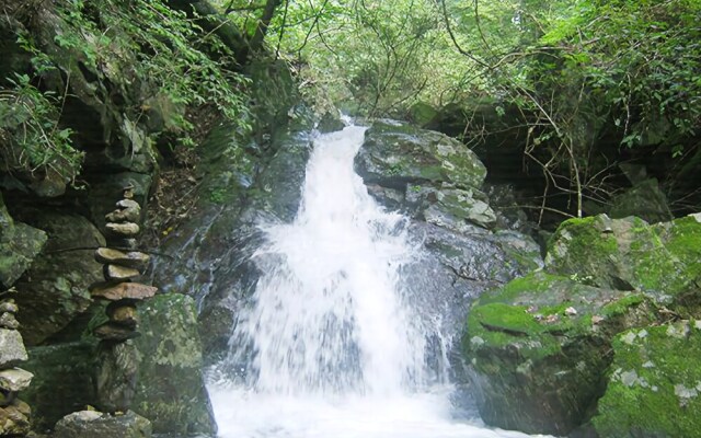 Yangpyeong lime orange